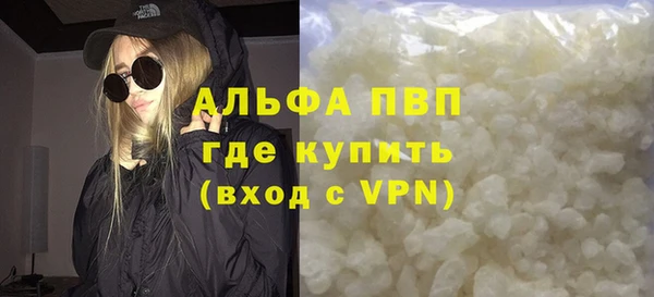 шишки Пересвет
