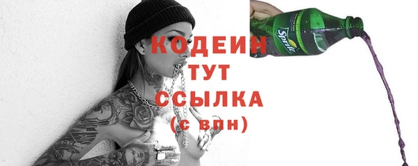 дживик Пестово